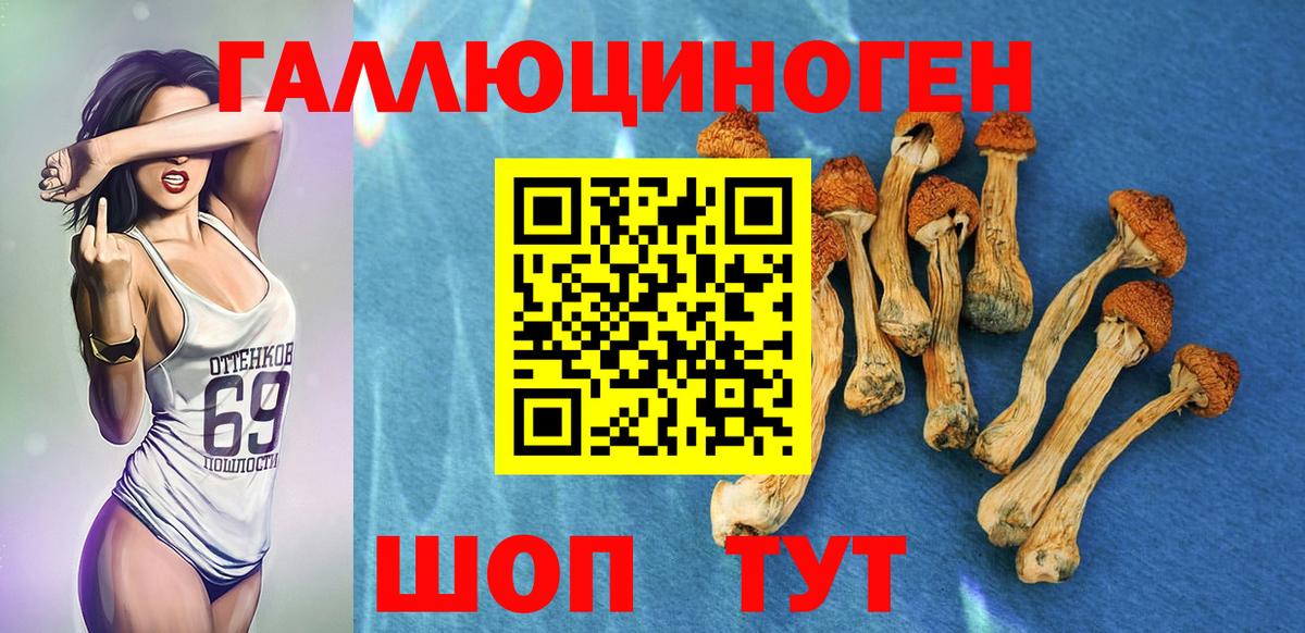 Фрязино  Псилоцибиновые грибы Magic Shrooms  купить наркотики цена  Вход с VPN 
